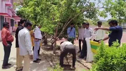 मोहन बड़ोदिया: विश्व पर्यावरण दिवस पर जनपद पंचायत मोहन बड़ोदिया में सीईओ और स्टाफ ने किया पौधारोपण, ली शपथ