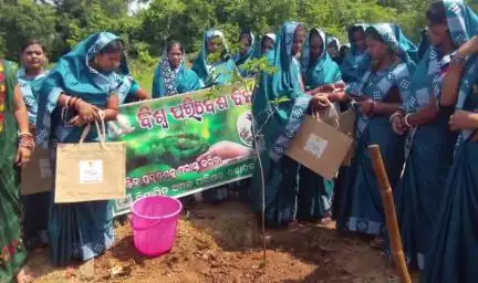 କବିସୂର୍ଯ୍ୟନଗର: ବିଶ୍ୱ ପରିବେଶ ଦିବସ ଅବସରରେ କବିସୂର୍ଯ୍ୟନଗର ର ବିଭିନ୍ନ ସ୍ଥାନରେ ବୃକ୍ଷ ରୋପଣ କାର୍ଯ୍ୟକ୍ରମ ଅନୁଷ୍ଠିତ