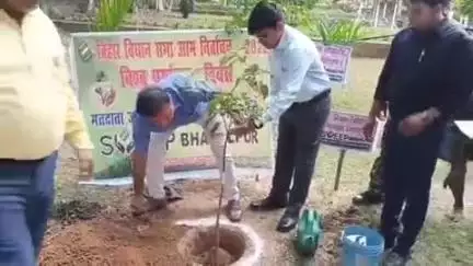 जगदीशपुर: विश्व पर्यावरण दिवस पर भागलपुर के ज़िला निर्वाचन पदाधिकारी ने सुंदरवन बरारी में किया वृक्षारोपण