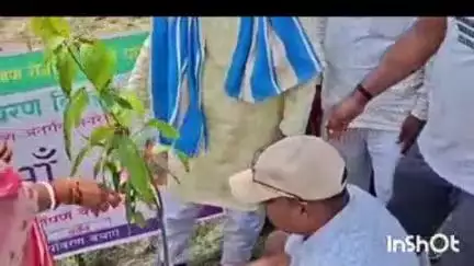 कोंच: चंदैनी गांव के बड़की आहार में विश्व पर्यावरण दिवस पर पीओ ने किया वृक्षारोपण