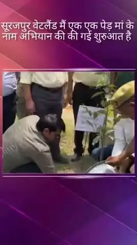 दादरी: पेड़ लगाकर शहरवासियों ने हरियाली बनाए रखने का लिया संकल्प