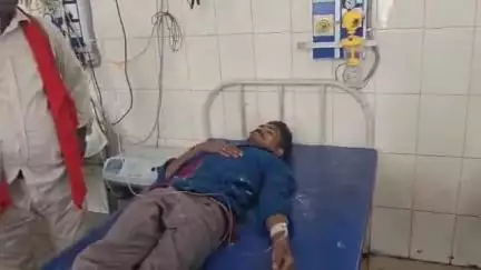 बाढ़: बाढ़ के ढेलवागोसाई में आम तोड़ने के दौरान करेंट लगने से युवक घायल, अस्पताल में भर्ती