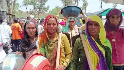 बसवा: बांदीकुई में वंदे गंगा जल संरक्षण अभियान कार्यक्रम का हुआ आयोजन, विधायक ने लगाए पौधे
