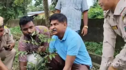 বিশ্বনাথ: বিহালী সমজিলা কাৰ্যালয়ৰ প্ৰাংগণত বিশ্ব পৰিৱেশ দিৱস উদযাপন, সাংসদ ৰঞ্জিত দত্তৰ অংশগ্ৰহণ