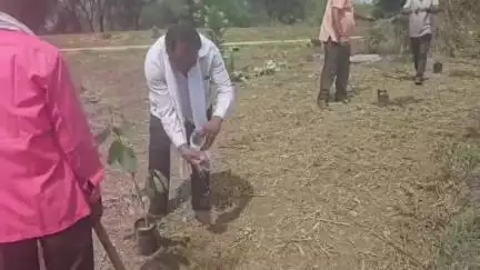 भंडारा: मौजा सालेबडी येथील रिठ मारुती देवस्थानात जागतिक पर्यावरण दिन साजरा, अनेक मान्यवरांची उपस्थिती