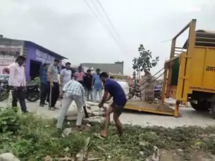 किरावली: ट्रक से लगी चोट से घायल गोवंश को किरावली में बजरंग दल के पदाधिकारियों ने भेजा अपना घर