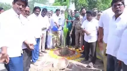మార్కాపురం: మార్కాపురం మార్కెట్ యార్డ్ ఆవరణలో వనమహోత్సవం పురస్కరించుకొని మొక్కలు నాటిన ఎమ్మెల్యే నారాయణరెడ్డి