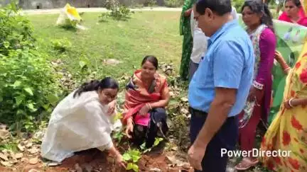 सोनारायठाढ़ी: विश्व पर्यावरण दिवस पर बाबूडीह में बीडीओ और सीओ ने किया पौधारोपण