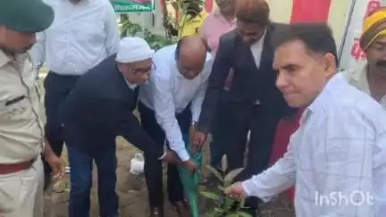 बिक्रमगंज: बिक्रमगंज व्यवहार न्यायालय परिसर में विश्व पर्यावरण दिवस पर न्यायाधीशों और अधिवक्ताओं ने किया पौधरोपण