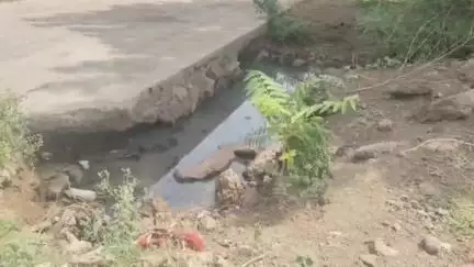शिंदखेडा: शहरातील विविध समस्यांमुळे नागरिक त्रस्त नागरिकांच्या वतीने नगरपंचायत अधिकारी यांना निवेदन #Jansamasya