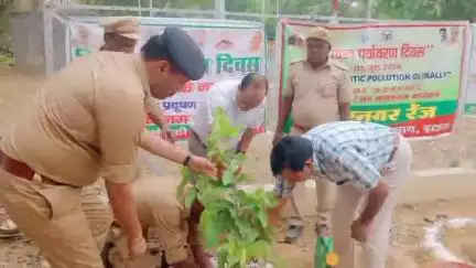 चकरनगर: विश्व पर्यावरण दिवस पर एसडीएम ने तहसील प्रांगण में किया पौधारोपण, दिया पर्यावरण संरक्षण का संदेश