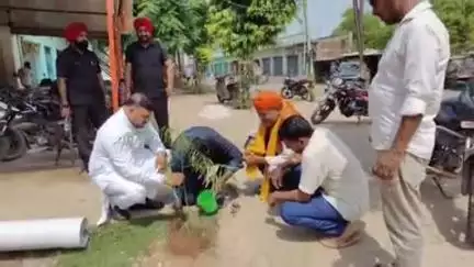अरियरी: शेखपुरा जिले में पर्यावरण दिवस पर भाजपा नेताओं ने किया पौधारोपण, धरती को हरा-भरा बनाने का लिया संकल्प
