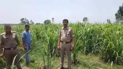 बुढ़ाना: बुढाना तहसील क्षेत्र के अंतर्गत थाना रतनपुरी पुलिस और गौकश के बीच हुई मुठभेड़, पैर में गोली लगने से एक गौकश हुआ घायल