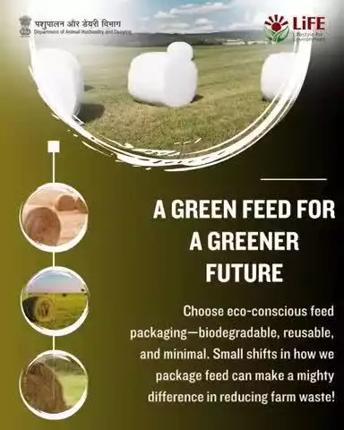 Did you know your feed packaging matters?Biodegradable and reusable options reduce farm waste and protect the planet. Choose wisely!#WorldEnvironmentDay #MissionLife #EndPlasticPollution#NatureAndLivestock