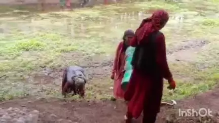 चिड़गांव: पर्यावरण दिवस के अवसर पर खरशाली दुर्गा माता मंदिर में आज स्थानीय महिला मंडल ने सफाई अभियान किया