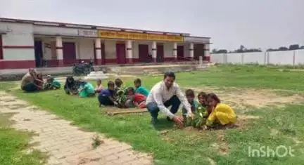 घोरावल: तकिया गांव के कंपोजिट विद्यालय में किया गया वृक्षारोपण