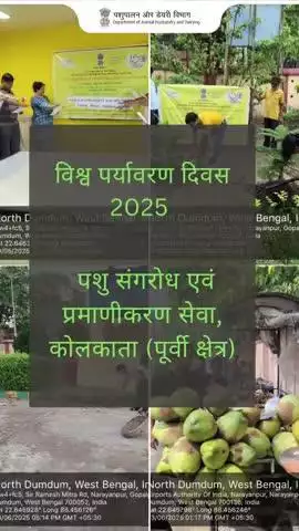 विश्व पर्यावरण दिवस 2025
पशु संगरोध एवं प्रमाणीकरण सेवा, कोलकाता (पूर्वी क्षेत्र) द्वारा विश्व पर्यावरण दिवस 2025 (डब्ल्यूईडी 2025) के अवसर पर ‘एक राष्ट्र, एक मिशन: प्लास्टिक प्रदूषण समाप्त करें’ विषय पर कार्यक्रम आयोजित किया गया।