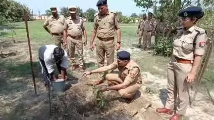 शामली: एसपी शामली ने विश्व पर्यावरण दिवस पर वृक्षारोपण किया, पुलिसकर्मियों को पर्यावरण संरक्षण का दिया संदेश