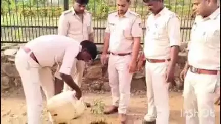 अधौरा: विश्व पर्यावरण दिवस पर अधौरा प्रखंड क्षेत्र में वन विभाग द्वारा पर्यावरण संरक्षण हेतु जागरूकता कार्यक्रम कराया गया