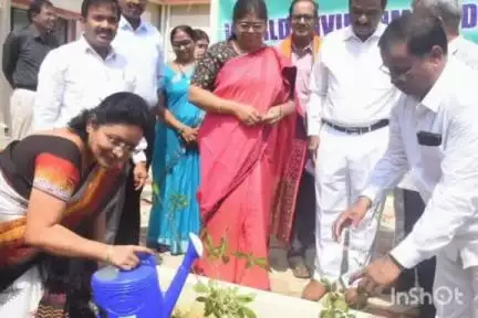విస్తృతంగా మొక్కలు నాటండి పర్యావరణాన్ని కాపాడండి జిల్లా ప్రధాన న్యాయమూర్తి శ్రీమతి ఎం. భబిత