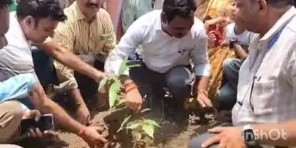 सोहागपुर: विश्व पर्यावरण दिवस पर कलेक्टर ने कल्याणपुर वृद्धा आश्रम में किया वृक्षारोपण, अधिकारी मौजूद