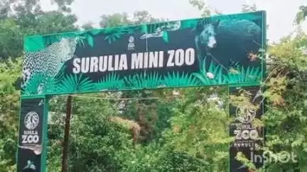 পুরুলিয়া ২: বনদপ্তরের উদ্যোগে পুরুলিয়ার সুরুলিয়া মিনি জুতে বিশ্ব পরিবেশ দিবস পালন করা হলো উপস্থিত ডিএফ ও