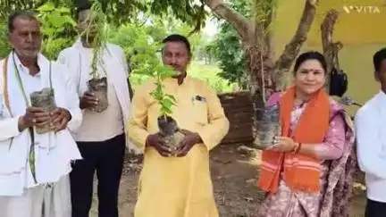 सिरदला: पर्यावरण दिवस 2025: सूर्य मंदिर जमुगांय के परिसर में जिलापरिषद सदस्या व मुखिया ने लगाए कई पौधे, दिया संदेश