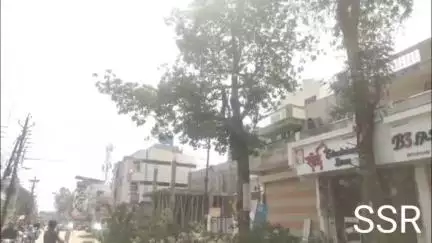 रतलाम नगर: कस्तूरबा नगर वार्ड 12 में विश्व पर्यावरण दिवस पर विकास के नाम पर हरे-भरे पेड़ों पर चली आरी