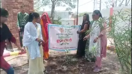सुसनेर: विश्व पर्यावरण दिवस पर वुमेन फॉर ट्री अभियान के तहत महिलाओं ने किया पौधारोपण