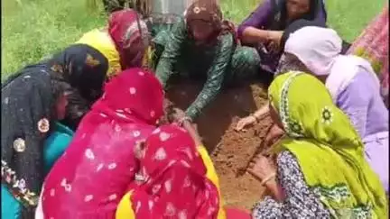 चरखी दादरी: कादमा सहित कई गांवों में विश्व पर्यावरण दिवस पर पौधारोपण, प्लास्टिक प्रदूषण मुक्त रखने का संकल्प