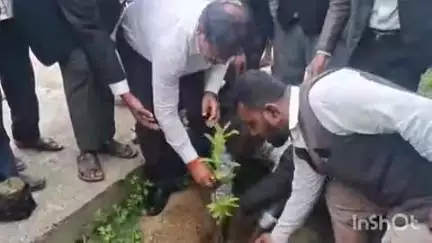 बखरी: विश्व पर्यावरण दिवस पर बखरी व्यवहार न्यायालय परिसर में हुआ पौधारोपण कार्यक्रम