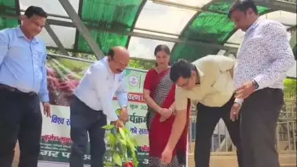 अमरोहा: अमरोहा पहुंचे विशेष सचिव ने आगामी कार्यक्रमों को लेकर पालिका में ली बैठक, पौधारोपण भी किया