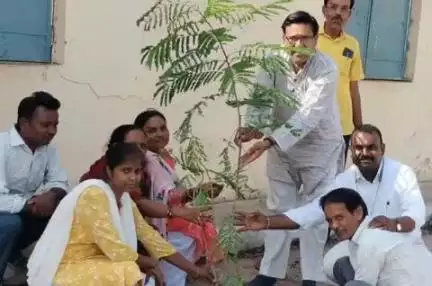 गाडरवारा: विश्व पर्यावरण दिवस पर शासकीय विद्यालय बम्हौरीकलाँ में गुलमोहर के दो पौधे रोपे गए