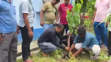 ক্যানিং ২: জীবনতলায় বৃক্ষ রোপনের মাধ্যমে বিশ্ব পরিবেশ দিবস পালন করলেন স্বাস্থ্য কর্মীরা,