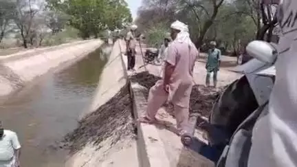 अनूपगढ़: अनूपगढ़ में तूफान के कारण अनूपगढ़ शाखा में टूटकर गिरे पेड़, किसानों को हो रही परेशानी