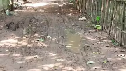 জামপুইজলা: ব্রিক সলিং থেকে বঞ্চিত জম্পুইজলা মোল্লা পাড়ার নাগরিকরা, সমস্যায় সাধারণ মানুষ #jansamasya