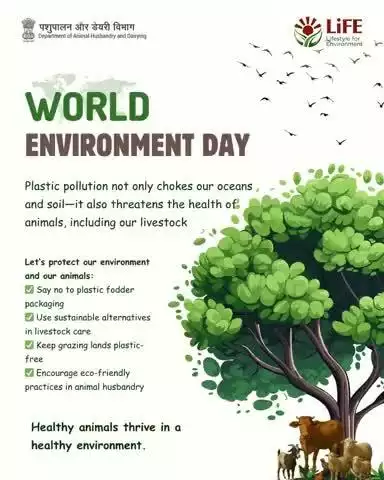 Plastic pollution doesn’t just harm nature—it endangers our animals too. This #WorldEnvironmentDay, let’s protect our fields, our livestock, and our future.• 
Say no to plastic.• Say yes to sustainable farming.