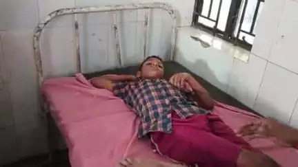 रसूलाबाद: बहादुरपुर गांव में मधुमक्खियों के हमले से करीब आधा दर्जन लोग घायल, सीएचसी में उपचार शुरू