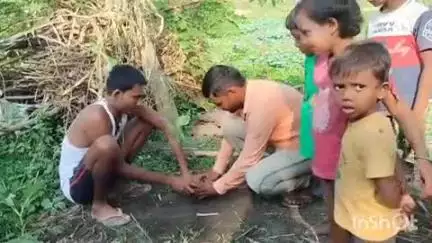 फलका: फलका में विश्व पर्यावरण दिवस पर अधिकारियों और जनप्रतिनिधियों ने पौधे लगाकर लोगों को किया जागरूक