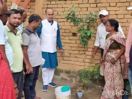 फारबिसगंज: विश्व पर्यावरण दिवस के अवसर पर फारबिसगंज विधायक के जनसंपर्क कार्यालय में किया गया वृक्षारोपण