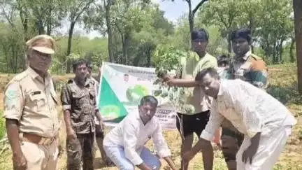 గంగాధర నెల్లూరు: కార్వేటినగరం మండలం కుప్పనిగుంట రిజర్వ్ ఫారెస్ట్‌లో మొక్కలు నాటిన అధికారులు