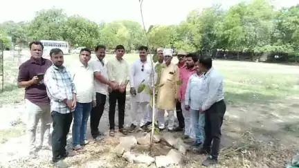 कैलारस: विश्व पर्यावरण दिवस पर BJP मंडल कैलारस और चंबल शताब्दी संगठन ने पौधा रोपण कर दिया जागरूकता का संदेश