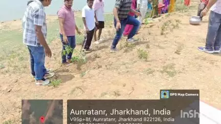 मनिका: मनिका के जुंगुर पंचायत स्थित अमृत सरोवर में विश्व पर्यावरण दिवस पर वृक्षारोपण किया गया