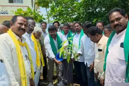 అంతర్జాతీయ పర్యావరణ దినోత్సవ సందర్భంగా పలు మండలాల్లో మొక్కలు నాటిన MLA విజయ చంద్ర