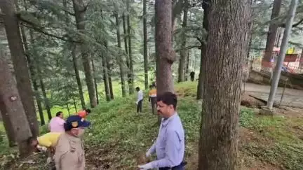 लोहाघाट: नगर लोहाघाट में विश्व पर्यावरण दिवस धूमधाम से मनाया गया