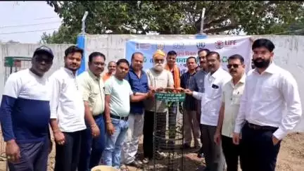 चांपा: विश्व पर्यावरण दिवस पर चांपा क्षेत्र के घोघरानाला में पौधरोपण किया गया, नगर पालिका अध्यक्ष, CMO, तहसीलदार रहे उपस्थित