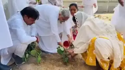 बहादुरगढ़: विश्व पर्यावरण दिवस पर नगर परिषद ने सरोज राठी नगरवाल कॉलोनी के म्युनिसिपल पार्क में किया पौधारोपण