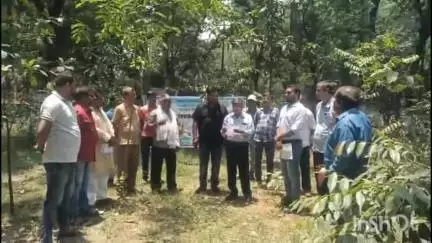 पतरातू: भुरकुंडा पीओ कार्यालय में विश्व पर्यावरण दिवस पर जागरूकता अभियान, पौधारोपण किया गया