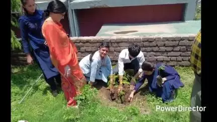 नाहन: यूथ एवं इको क्लब के कार्यक्रम के अंतर्गत 'एक पेड़ के मां के नाम' का आयोजन