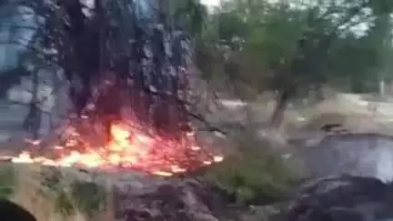 प्रतापगढ़: दूलापुर गांव में बांस की कोठी में आग लगने से आसपास के फलदार पौधे जलकर राख, पीड़ित ने पुलिस से की शिकायत